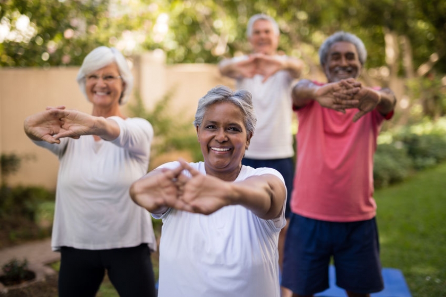 Active Living for Older Adults