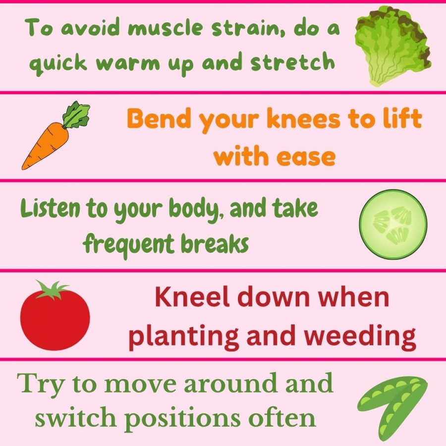Get Set to Garden